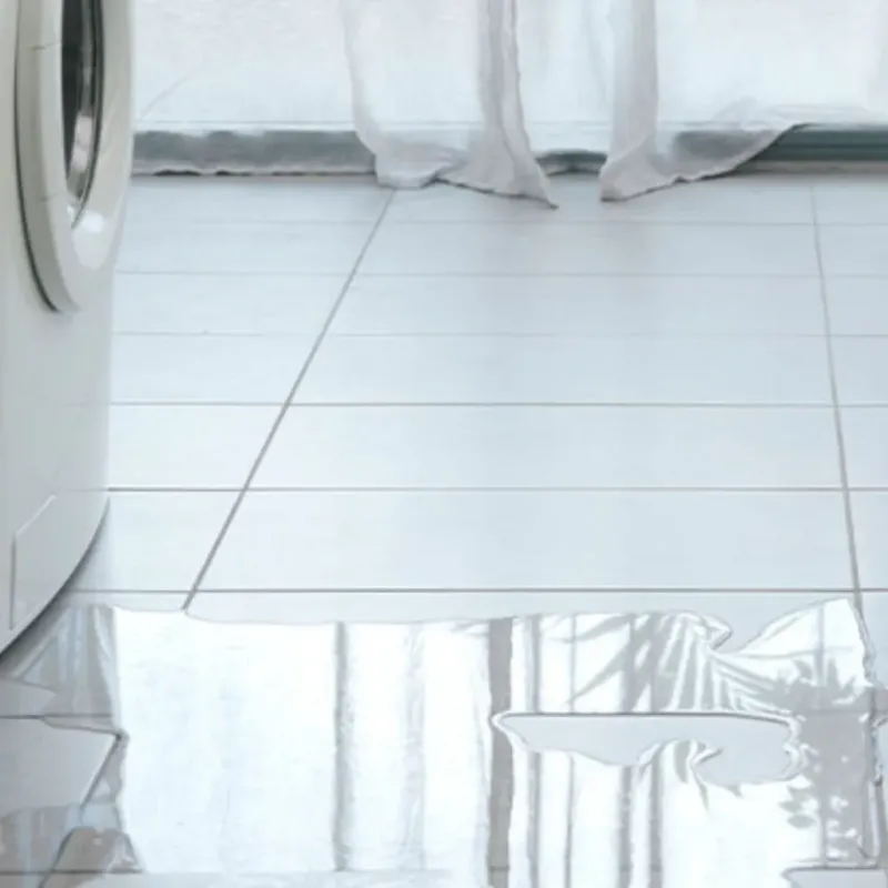 Appliance Leak Cleanup in Saxon, SC