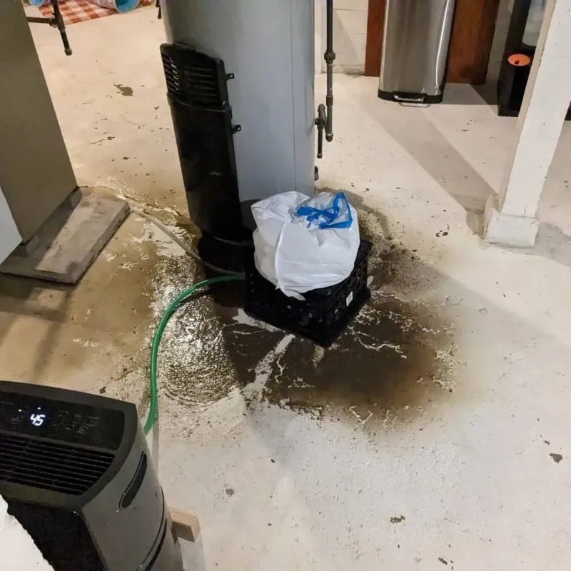 Sewage Backup Cleanup Service in Saxon, SC